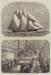 La course de yachts de l